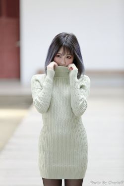 电视剧掌门女婿